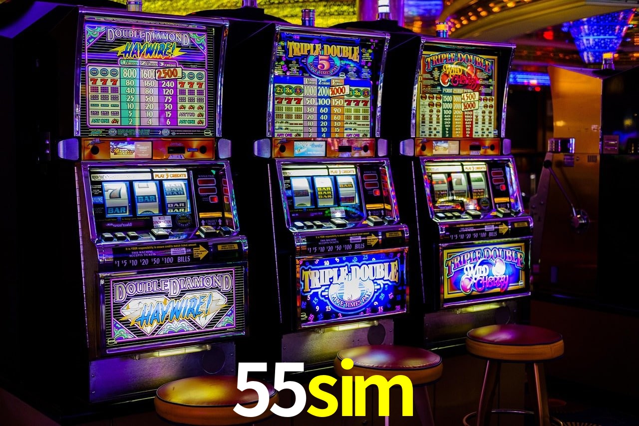 Programa VIP 55sim